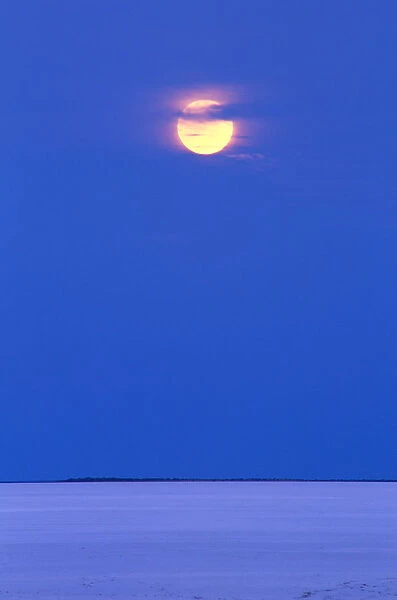 Moon rising over dry salt lake in desert