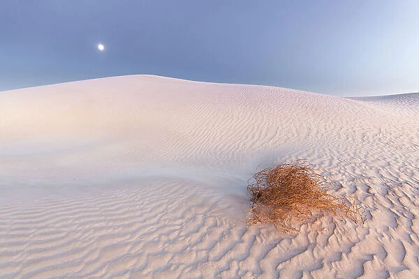 Full moon over Sand Dunes. Streaky Bay. Australia
