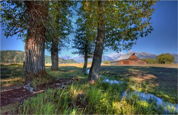Framed Print : Mormon Row, Grand Tetons, Wyoming