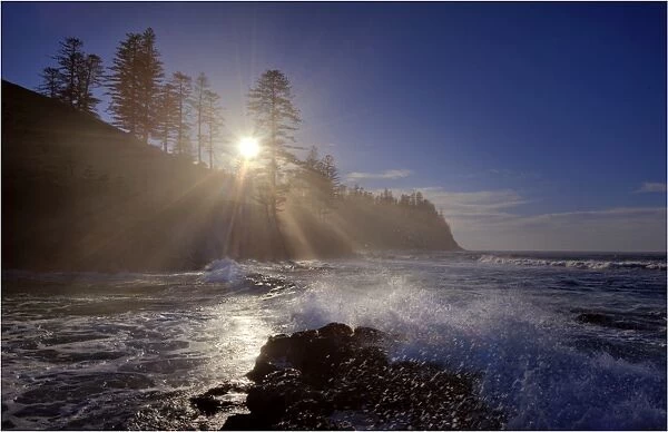 Morning light after dawn along the Norfolk Island coast