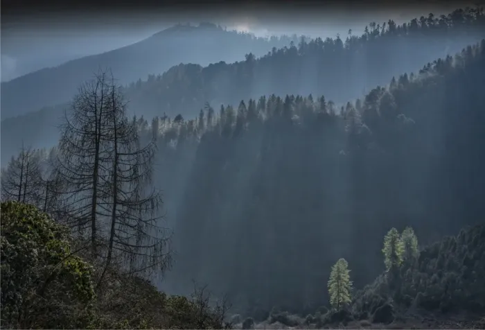 Framed Print : Morning light in a Rural scene in the Wangdue Province, Eastern Himalayas, Bhutan
