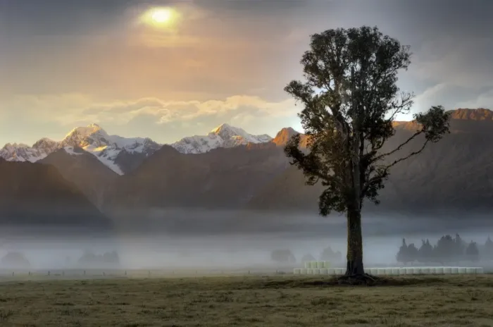 Framed Print : Morning mist Framed Print : Morning mist