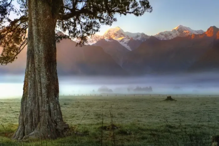 Framed Print : Morning mist Framed Print : Morning mist