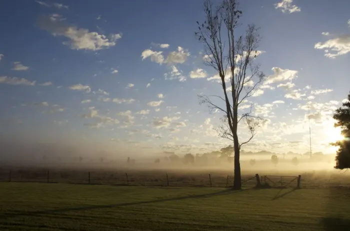 Framed Print : Morning in mudgee Framed Print : Morning in mudgee