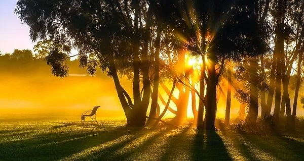 Morning rays at Fairbains park