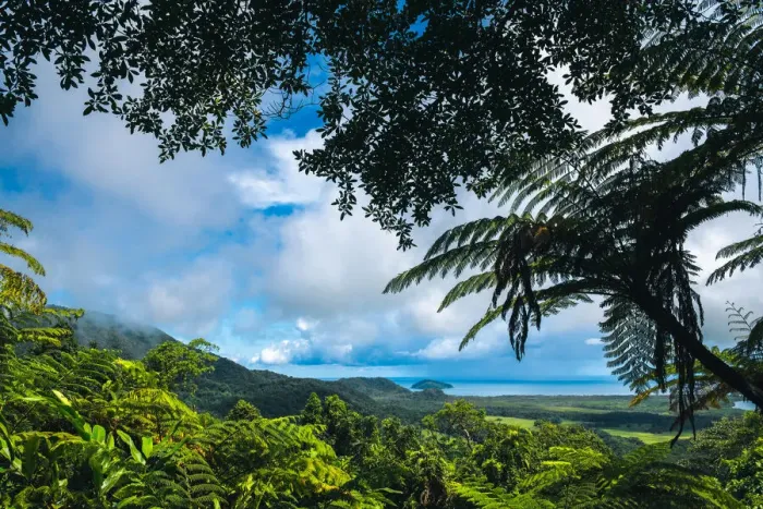 Framed Print : Mount Alexandra Lookout, Daintree National Park, Australia