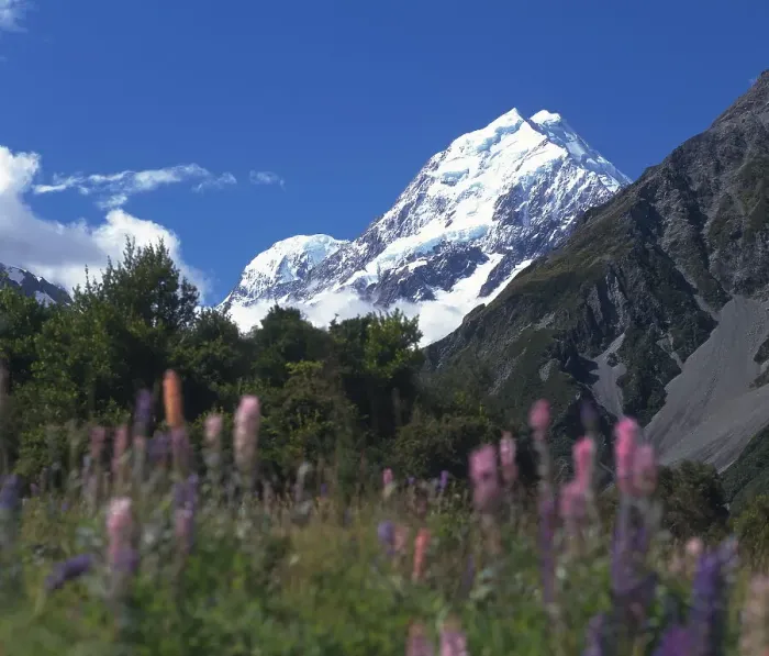 Framed Print : Mount Cook, New Zealand Framed Print : Mount Cook, New Zealand