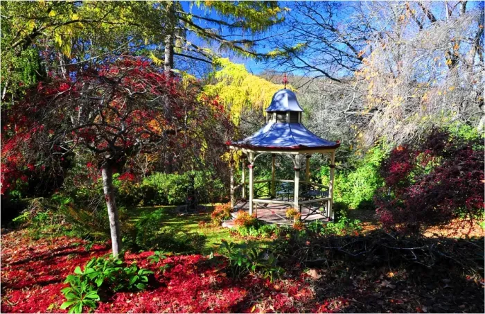 Framed Print : Mount Macedon in the Autumn, Victoria, Australia Framed Print : Mount Macedon in the Autumn, Victoria, Australia