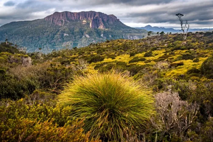 Framed Print : Mount Oakleigh, Overland track, Tasmania Framed Print : Mount Oakleigh, Overland track, Tasmania
