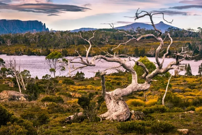 Framed Print : Mount Oakleigh, Overland track, Tasmania Framed Print : Mount Oakleigh, Overland track, Tasmania