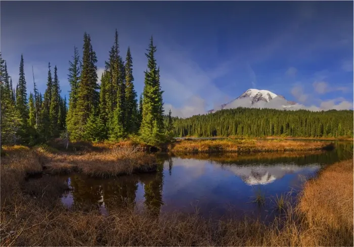 Framed Print : Mount Rainier National Park, Washington State, USA Framed Print : Mount Rainier National Park, Washington State, USA