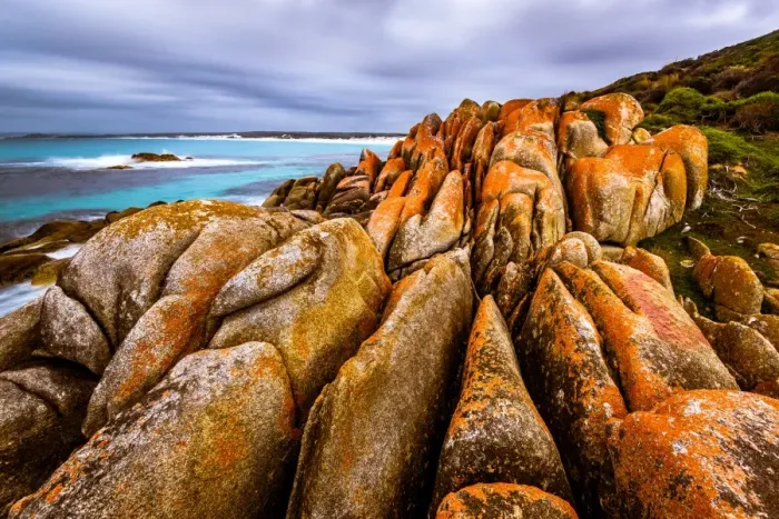 Framed Print : Mount William National Park at Bay of Fires, Tasmania Framed Print : Mount William National Park at Bay of Fires, Tasmania