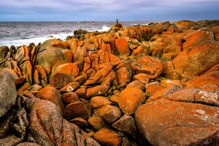 Framed Print : Mount William National Park at Bay of Fires, Tasmania Framed Print : Mount William National Park at Bay of Fires, Tasmania