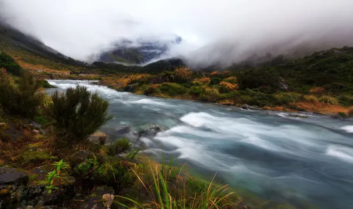 Framed Print : Mountain Stream Milford Sound Framed Print : Mountain Stream Milford Sound