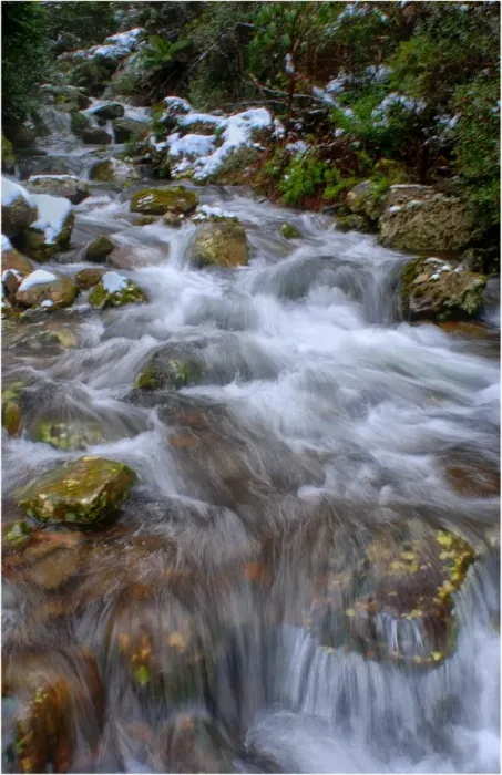 Framed Print : Mountain stream, Mount Roland, in the island state, Tasmania, Australia Framed Print : Mountain stream, Mount Roland, in the island state, Tasmania, Australia