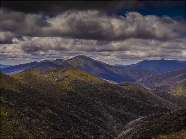Mountain Summer viewpoint near the summit of Mount Hotham, High Country, Victoria