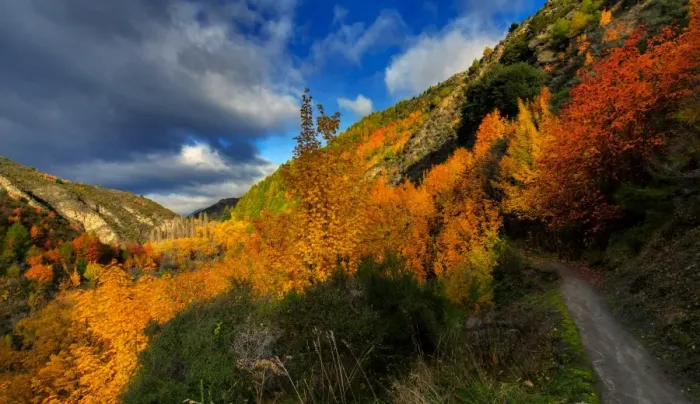 Framed Print : Mountain trail