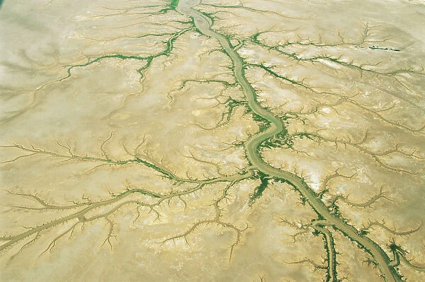 Mud Flats Near Derby at Kimberley in Western Australia