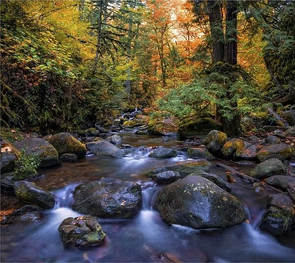 Multnomah creek, Columbia river gorge, Oregon, USA