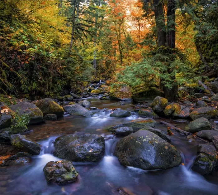 Framed Print : Multnomah creek, Columbia river gorge, Oregon, USA