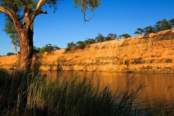 Murray River near Waikerie. Australia