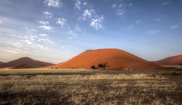 Namibian desert dune 45 morning light