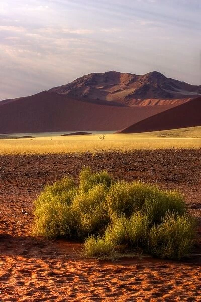Namibian desert dunes sunrise