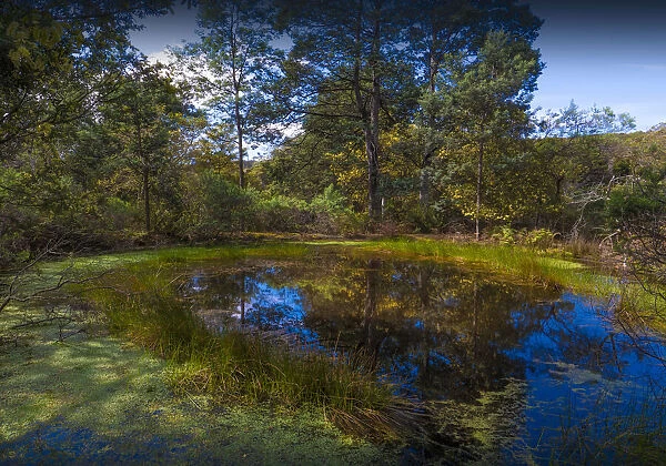 Natural pond, Cape Raoul, southern Tasmania