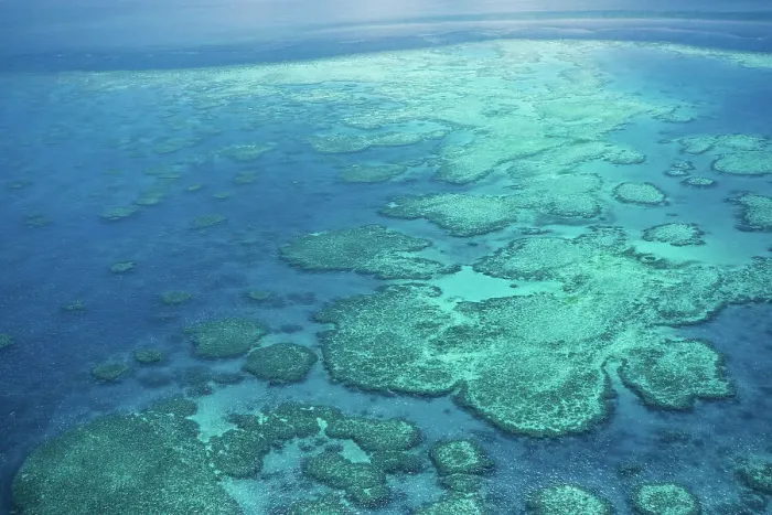 Framed Print : Natural Textures of Great Barrier Reef from above, Queensland, Australia Framed Print : Natural Textures of Great Barrier Reef from above, Queensland, Australia