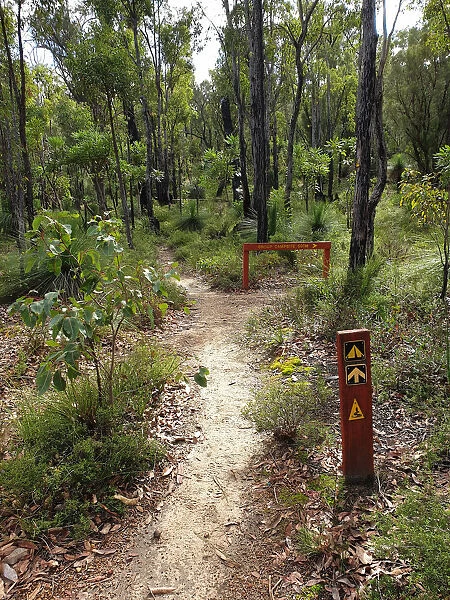 Nature Walk, Mt Cooke