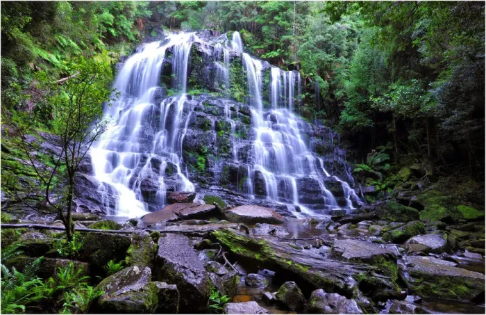 Framed Print : Nelson falls and rainforest, in the island state, Tasmania, Australia Framed Print : Nelson falls and rainforest, in the island state, Tasmania, Australia