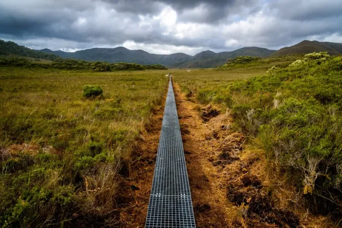 Framed Print : New Track through Luisa Plains at South Coast track, Southwest Tasmania Framed Print : New Track through Luisa Plains at South Coast track, Southwest Tasmania