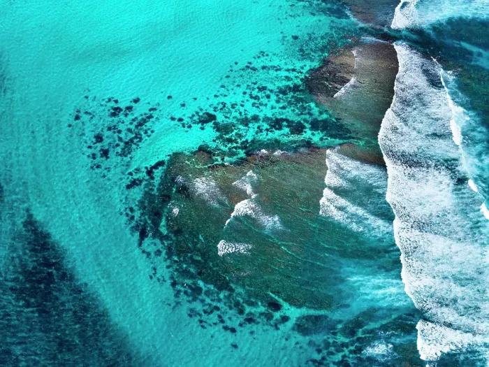 Framed Print : Ningaloo Reef