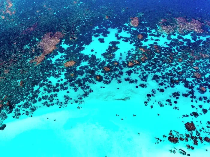 Framed Print : Ningaloo Reef