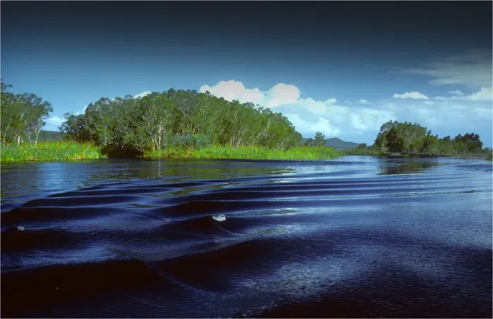Framed Print : Noosa River, sunshine coastline of Queensland, Australia
