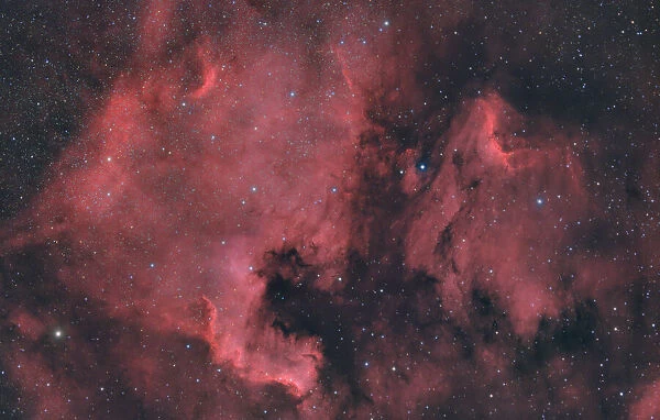 The North America Nebula (NGC 7000 or Caldwell 20)