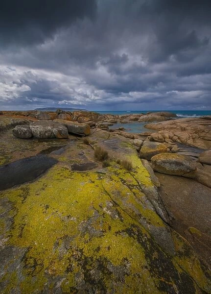 North East viewpoint Flinders Island