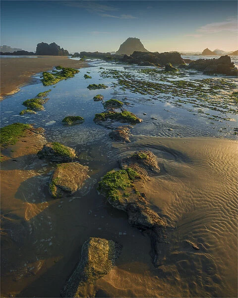 The northern Oregon coastline near seal rocks, USA