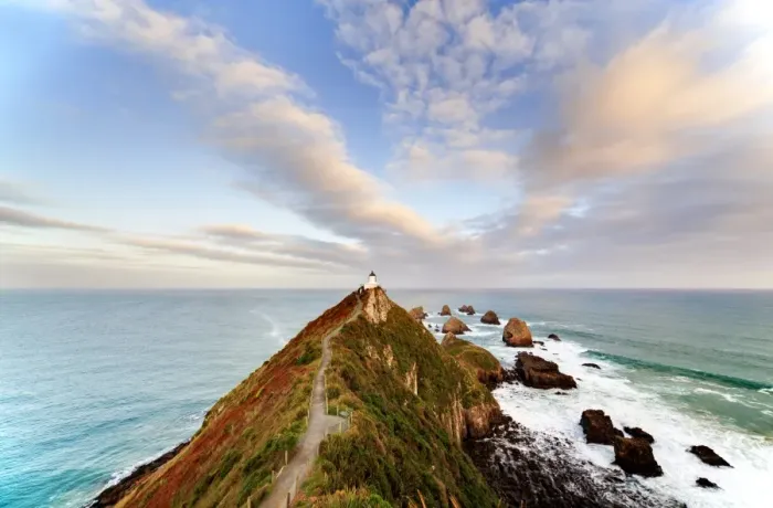 Framed Print : Nugget Point New Zealand Framed Print : Nugget Point New Zealand