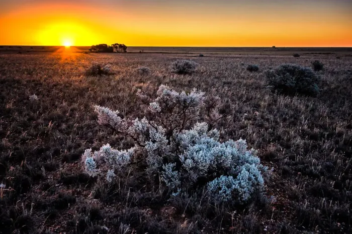 Framed Print : Nullarbor Plain Framed Print : Nullarbor Plain