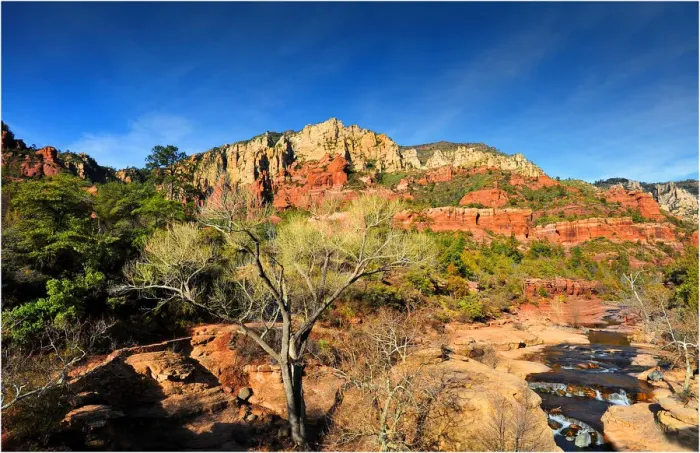 Framed Print : Oak Creek Canyon, Sedona, Arizona, south western United States of America Framed Print : Oak Creek Canyon, Sedona, Arizona, south western United States of America
