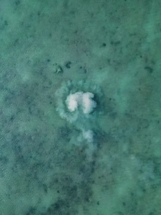 Framed Print : Ocean floor disturbed by a fish moving shot from a drone point of view, Broome, Western Australia, Australia Framed Print : Ocean floor disturbed by a fish moving shot from a drone point of view, Broome, Western Australia, Australia