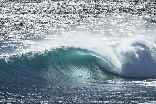 ocean, wave, surfer