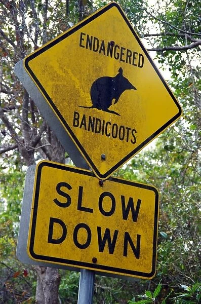 Oddest Street Signs