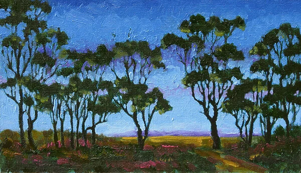Oil Painting Australian Gum Trees at Twilight