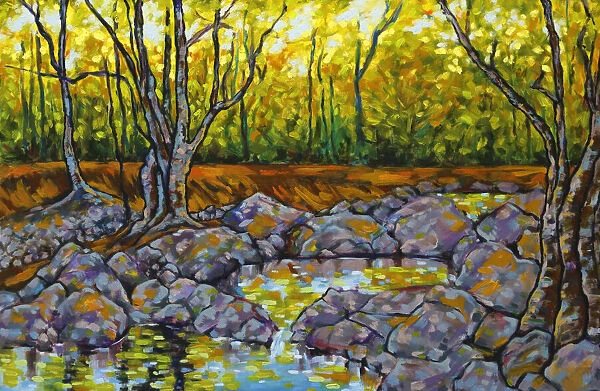 Oil Painting of River Rock Pools Trees and Dappled Sunlight