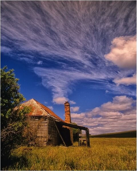 Old abandoned cottage, Flinders Island, part of the Furneaux group, eastern Bass Strait, Tasmania
