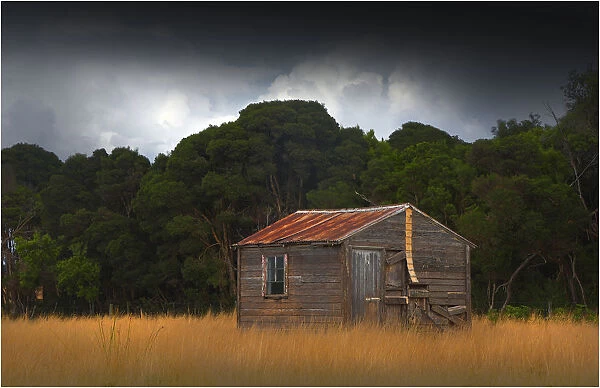 Old and abandoned farm hut in the rurals of King Island, Bass Strait, Tasmania, Australia