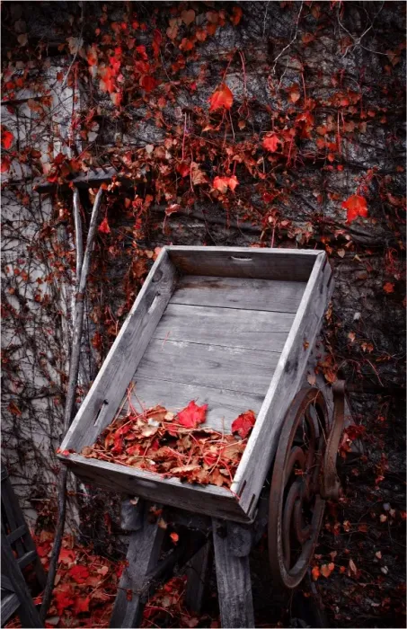 Framed Print : Old cart and red leaves in Autumn, Bright, Victoria, Australia