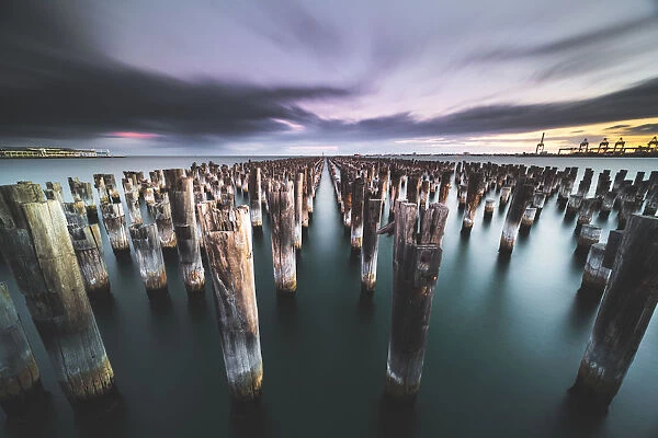 Old Pier Pylons in the Bay
